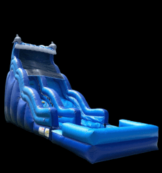 Dolphin Waterslide