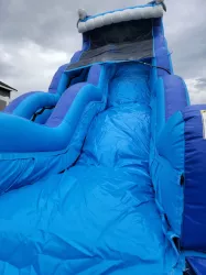 temp img 3 jpeg 123406739 Dolphin Waterslide